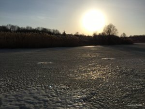 IMG_0395.JPG