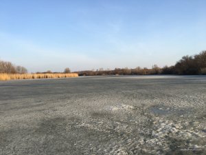 IMG_0394.JPG
