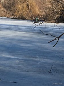 IMG_0398.JPG
