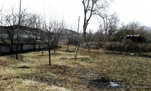 2017-03-12 12-23-12.JPG