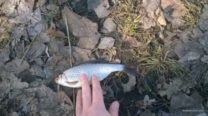 WP_20170311_10_22_05_Pro.jpg