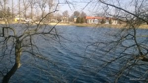 WP_20170311_09_12_42_Pro.jpg