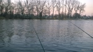 WP_20170311_17_10_26_Pro.jpg