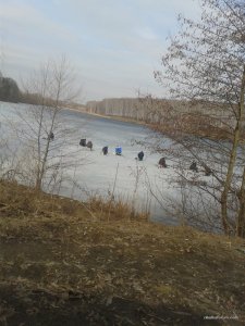 20170314_095252.jpg