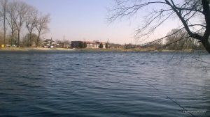WP_20170311_08_27_34_Pro.jpg