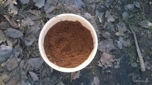 WP_20170311_13_58_53_Pro.jpg