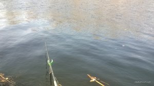 WP_20170311_13_58_28_Pro.jpg