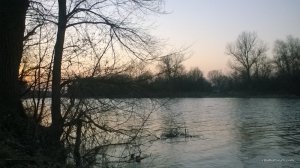 WP_20170311_17_10_33_Pro.jpg