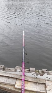 20170314_160502.jpg