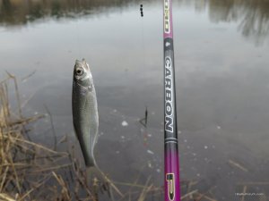 IMG_1612.JPG