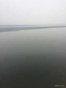 IMG_1248.JPG