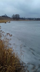 20170316_130725.jpg