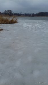 20170316_130551.jpg