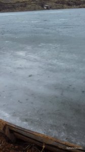 20170316_124135.jpg