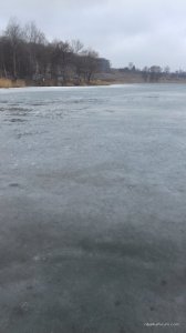 20170316_121801.jpg