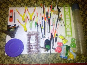 IMG_20170316_204539.jpg