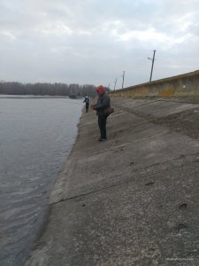 IMG_20170318_105932.jpg