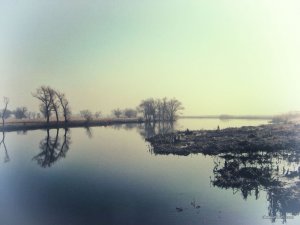 IMG_1985.JPG