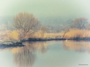 IMG_1989.JPG