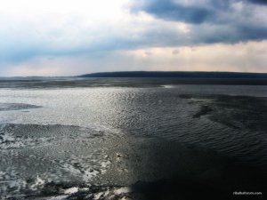 IMG_1994.JPG
