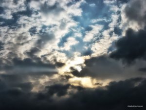 IMG_2012.JPG