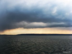 IMG_2029.JPG