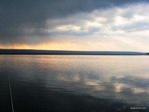 IMG_2046.JPG