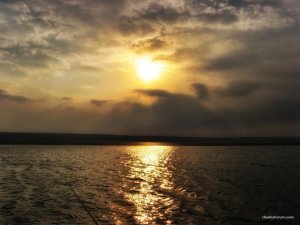 IMG_2049.JPG