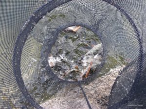 IMG_2050.JPG
