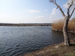 DSC04378.JPG