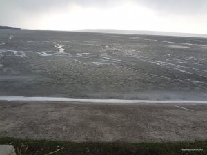 DSC04386.JPG