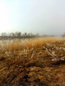 2017-03-19 13.44.59.jpg