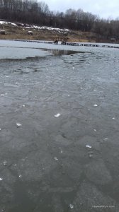 20170319_120002.jpg
