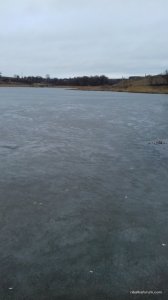 20170319_130808.jpg
