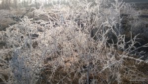 WP_20170318_009.jpg