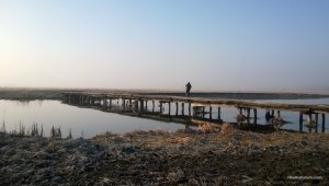 WP_20170318_015.jpg