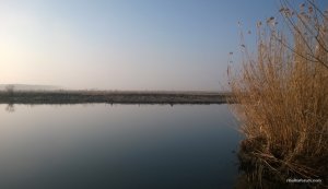 WP_20170318_020.jpg