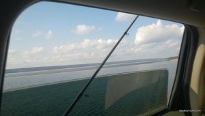 WP_20170318_031.jpg
