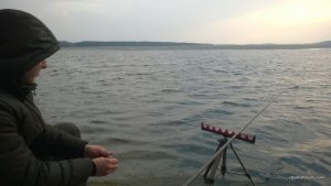 WP_20170318_077.jpg