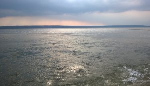 WP_20170318_066.jpg
