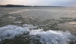 WP_20170318_058.jpg