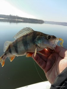 2017-03-22 16.30.51.jpg
