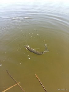 20170322_130933.jpg