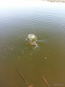 20170322_130929.jpg