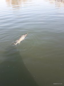20170323_110550.jpg