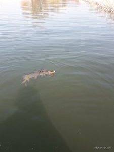20170323_110554.jpg