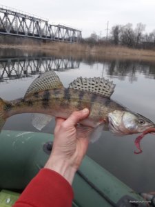 20170323_163733.jpg