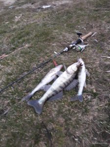 20170323_172647.jpg
