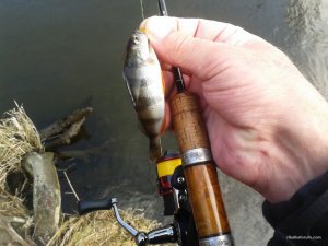 20170323_091552.jpg