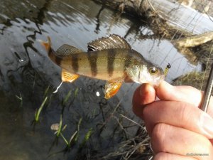 20170323_101600.jpg